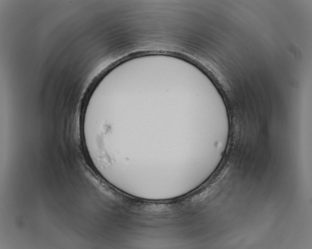 X0000111230982200907301242