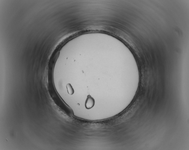 X0000111230984200907301242