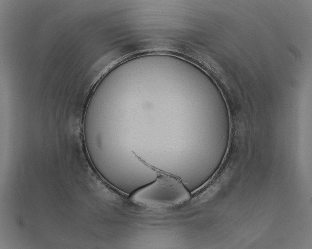 X0000111230985200907301242