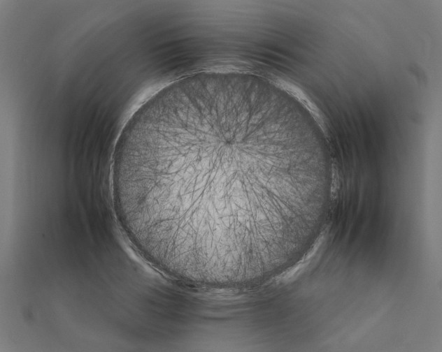 X0000111230986200907301242