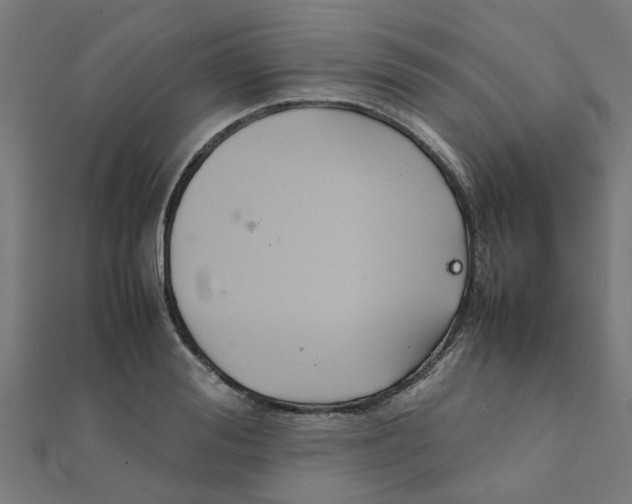 X0000111230988200907301242