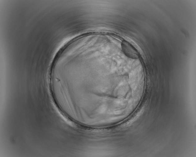 X0000111230989200907301242