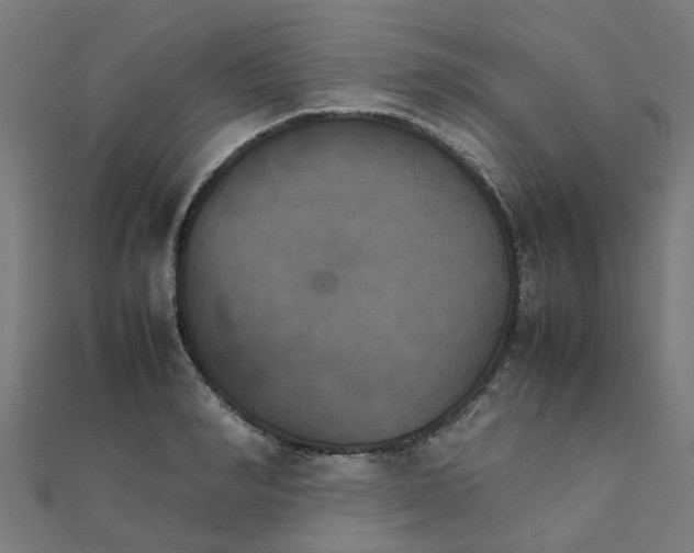 X0000111230990200907301242