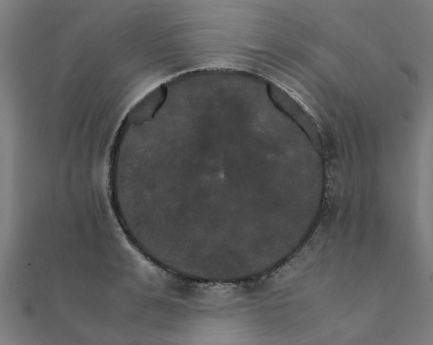 X0000111230991200907301242