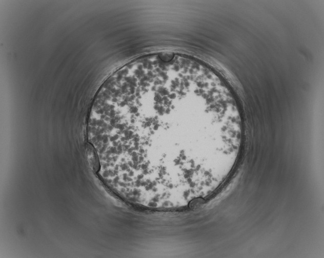 X0000111230993200907301242