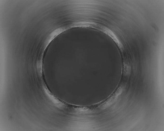 X0000111230994200907301242