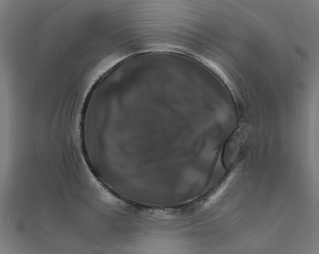 X0000111230995200907301242