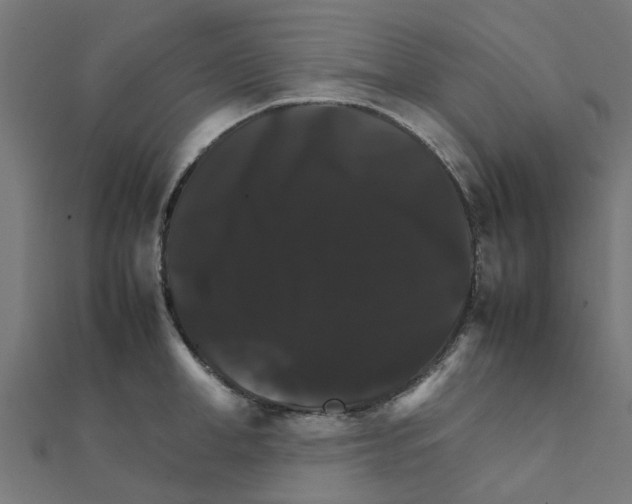 X0000111230998200907301242