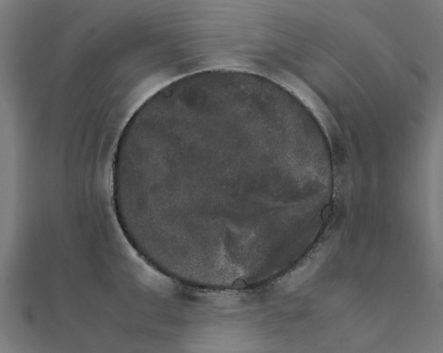 X0000111230999200907301242