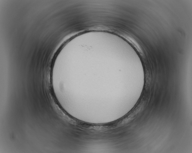 X0000111231000200907301242