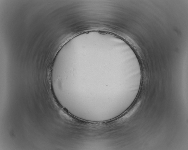 X0000111231001200907301242