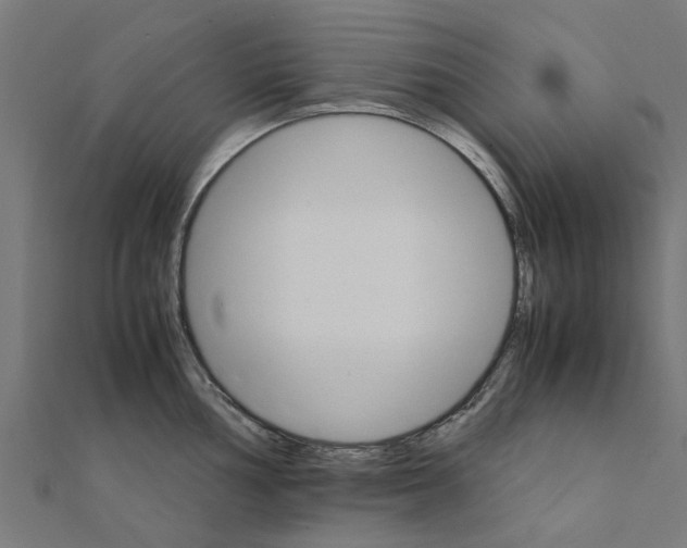 X0000111231002200907301242