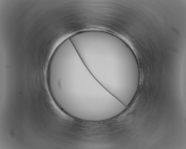 X0000111231003200907301242