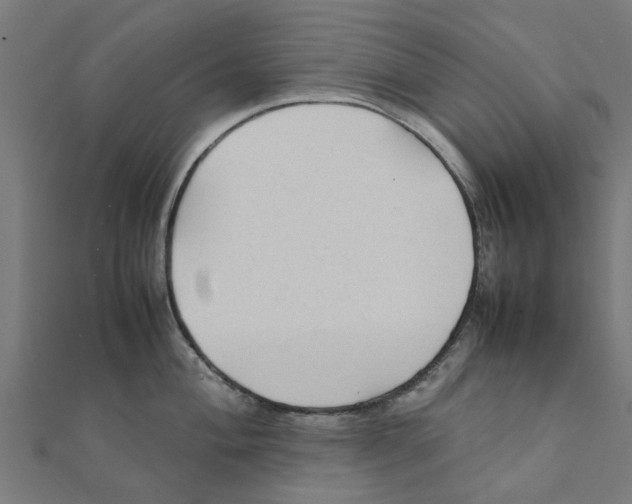 X0000111231004200907301242