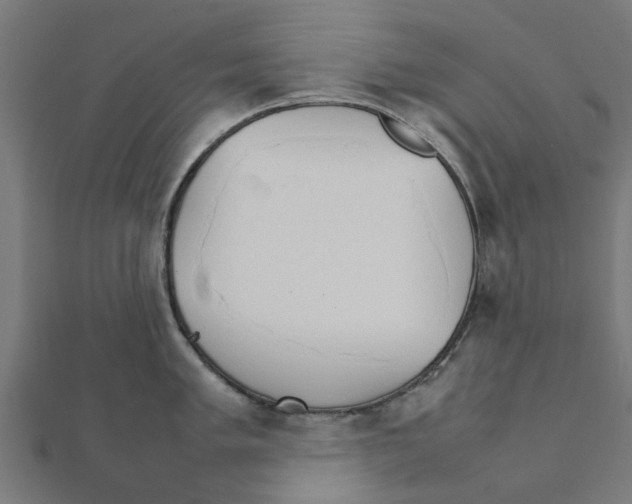 X0000111231005200907301242