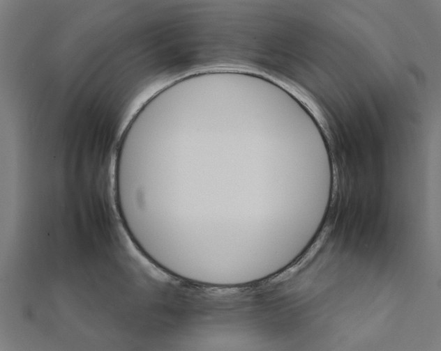 X0000111231006200907301242