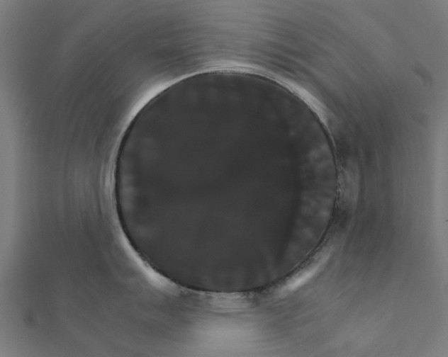 X0000111231007200907301242