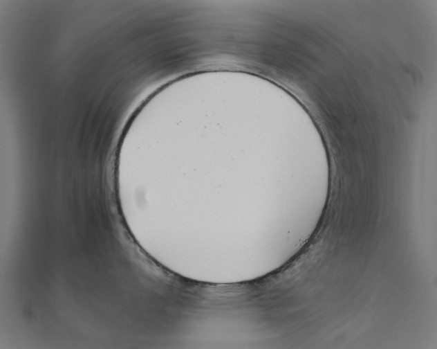 X0000111231008200907301242