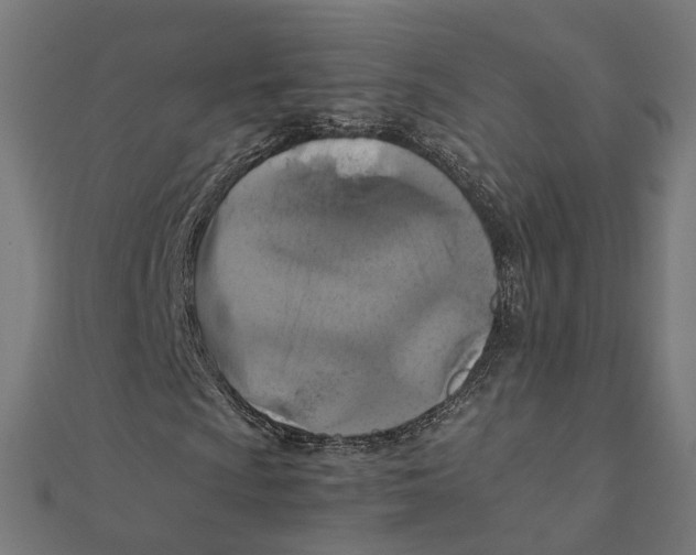 X0000111231009200907301241