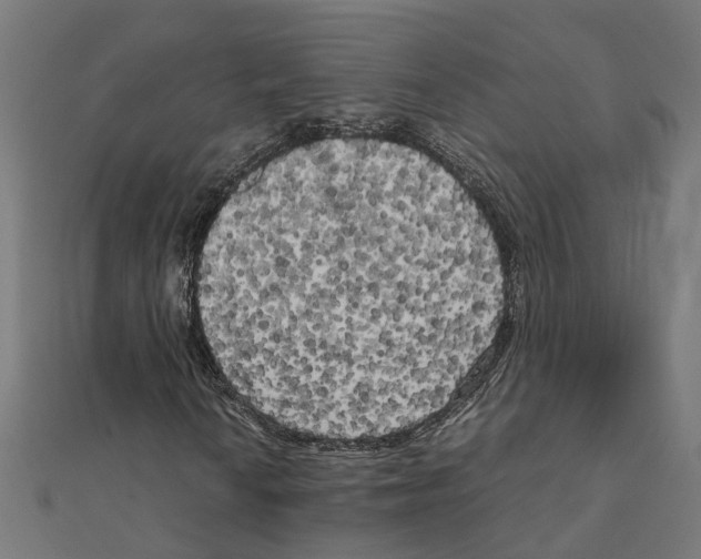 X0000111231010200907301241