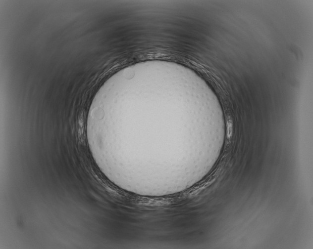 X0000111231011200907301241