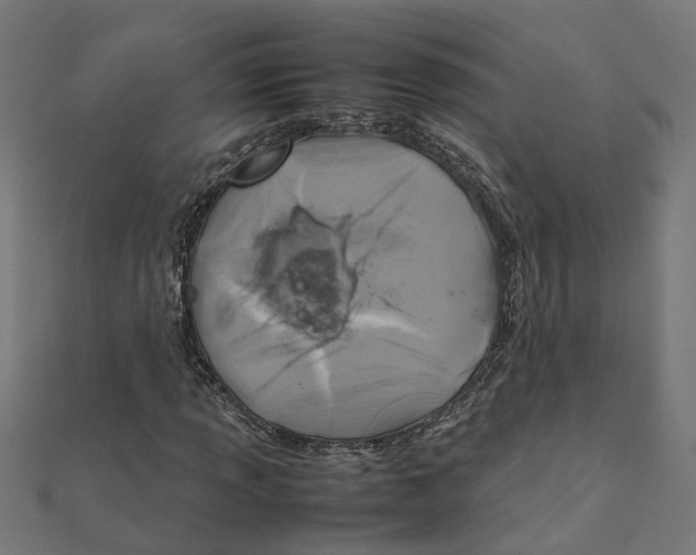X0000111231013200907301241
