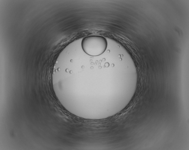 X0000111231014200907301241