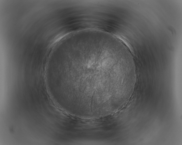 X0000111231015200907301241