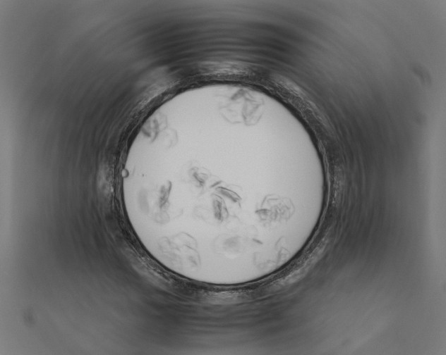 X0000111231017200907301242