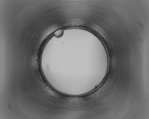 X0000111231018200907301242