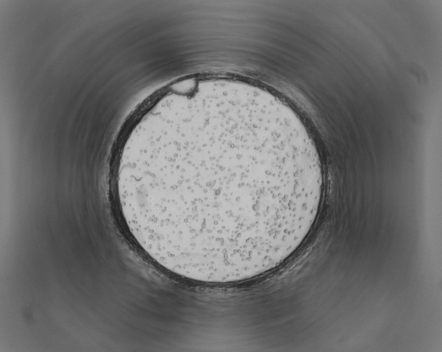 X0000111231020200907301242