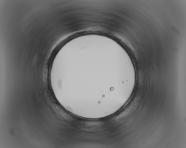X0000111231021200907301242