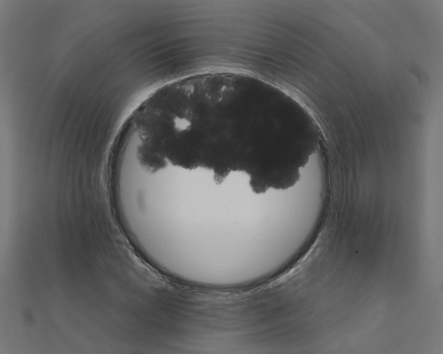 X0000111231022200907301242
