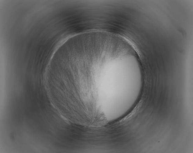 X0000111231023200907301242