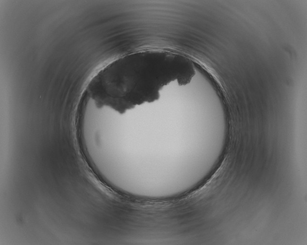 X0000111231026200907301242