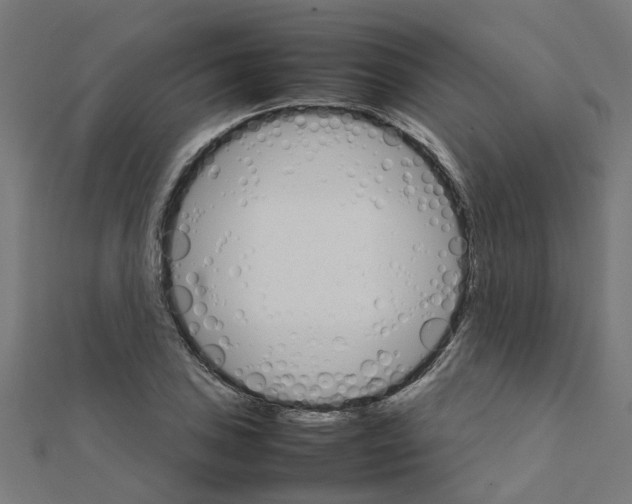 X0000111231027200907301242