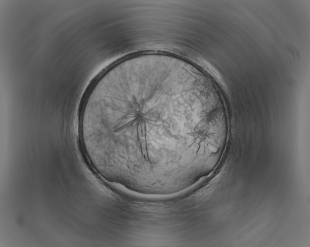 X0000111231028200907301242