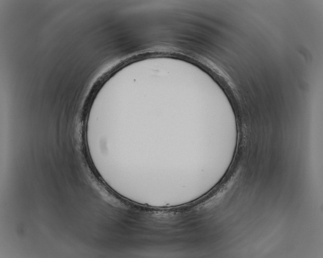 X0000111231029200907301242
