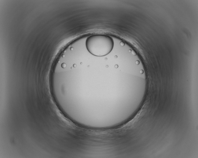 X0000111231030200907301242