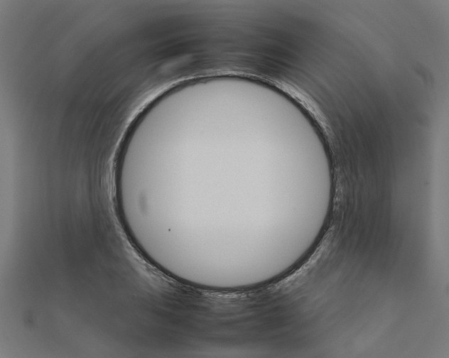 X0000111231031200907301242