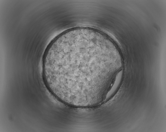 X0000111231032200907301242