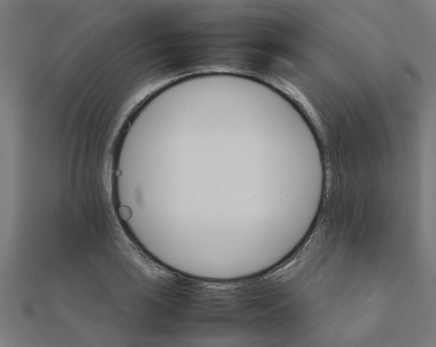 X0000111231035200907301242
