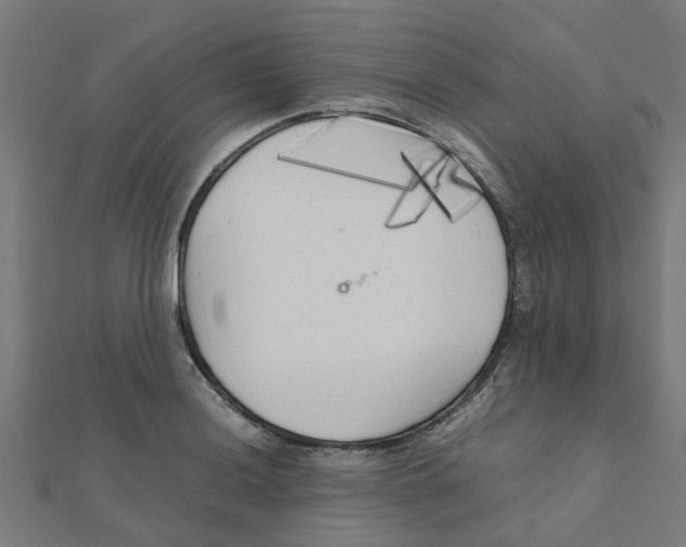 X0000111231036200907301242
