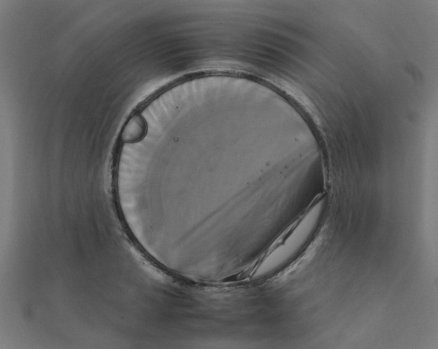 X0000111231037200907301242