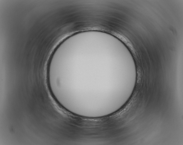 X0000111231039200907301242