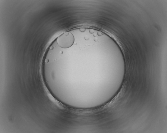 X0000111231042200907301242