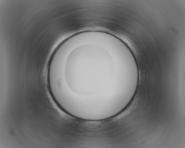 X0000111231046200907301242