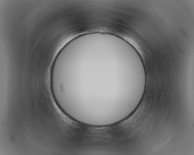 X0000111231047200907301242