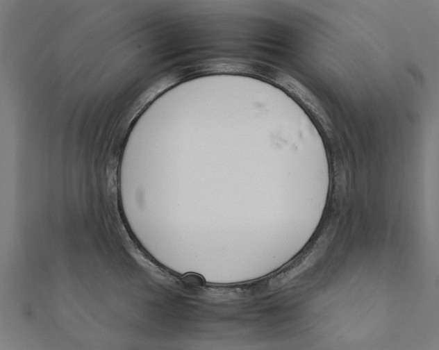 X0000111231049200907301242