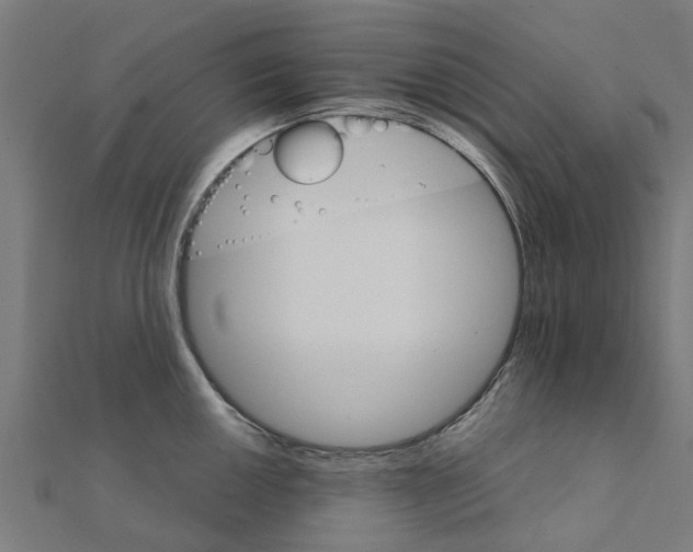 X0000111231050200907301242
